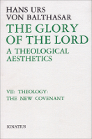 The Glory of the Lord, Vol. 7: Theology: The New Covenant